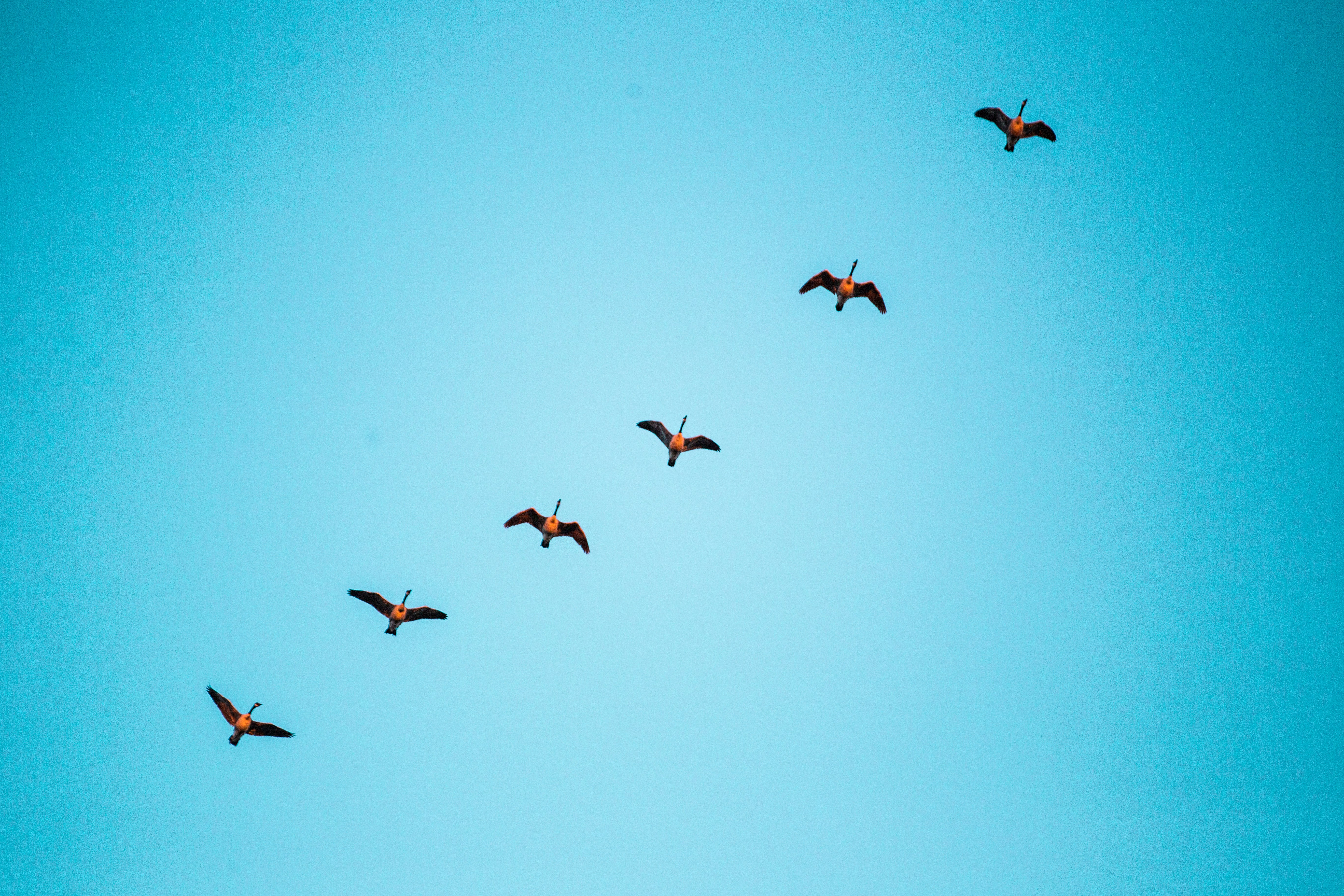 Photo by benjamin_deyoung