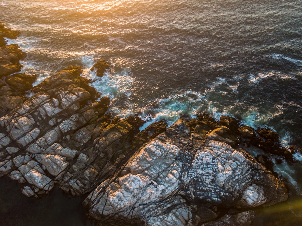 birds eye photography of body of water