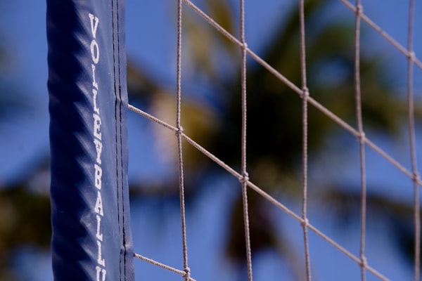 Zé Roberto é anunciado técnico do Los Angeles na LOVB