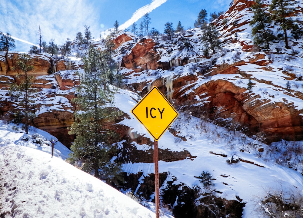 icy signage