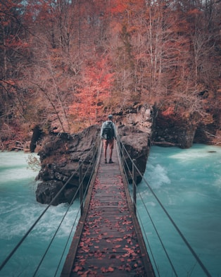 man on brown bridge near trees