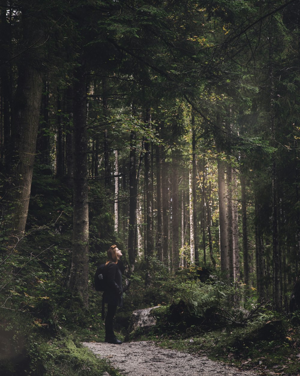 woman on dirt trail in woods