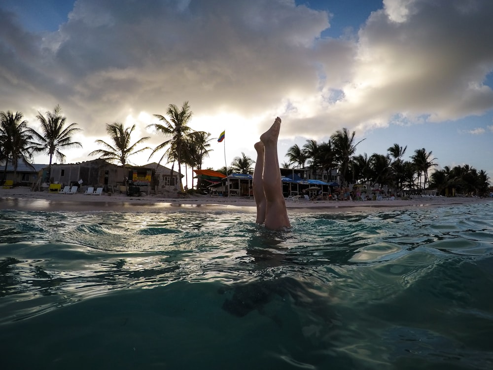 person swimming upper body underwater during day