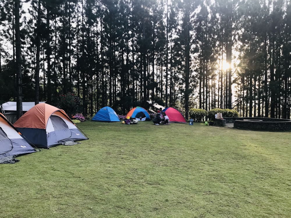 gray, orange, and blue dome tents during daytime