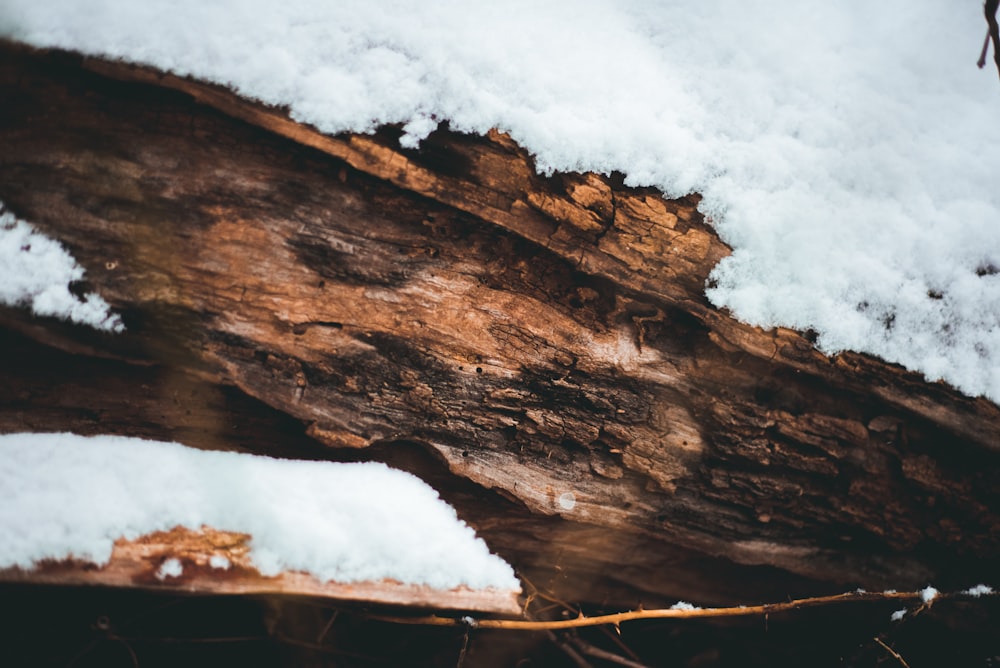 a piece of wood with snow on top of it