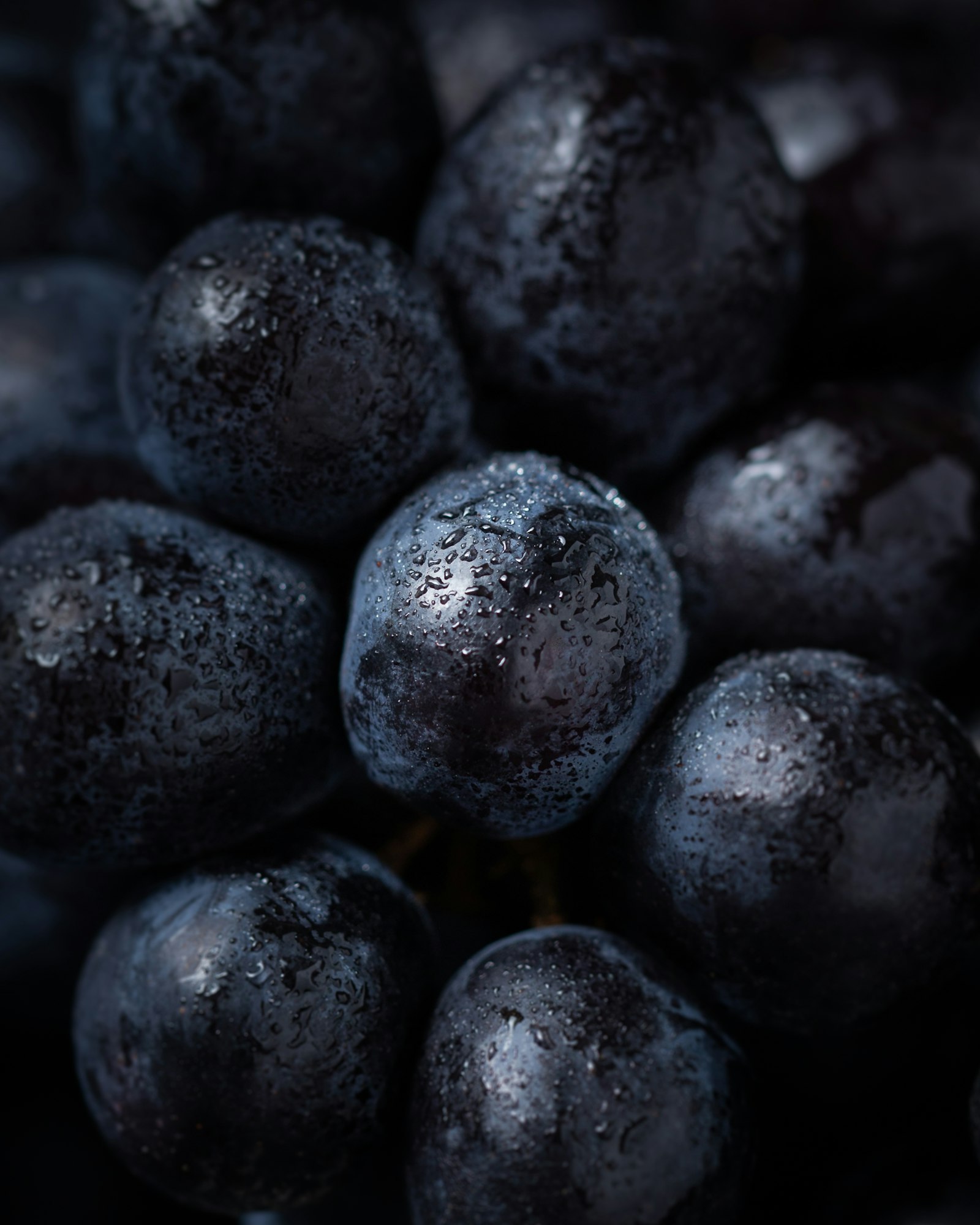 Canon EF 100mm F2.8L Macro IS USM sample photo. Wet blueberries photography