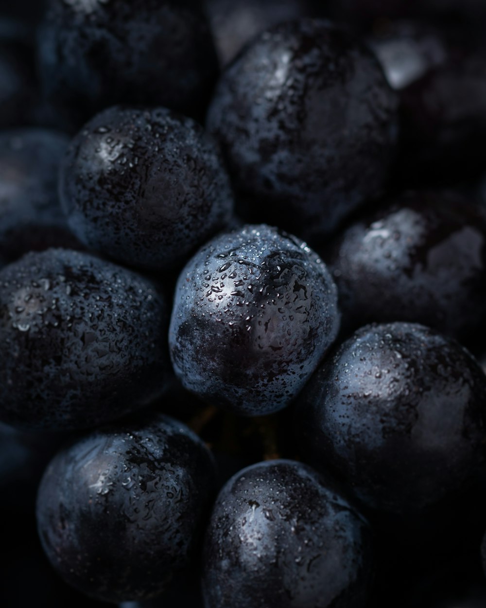 wet blueberries