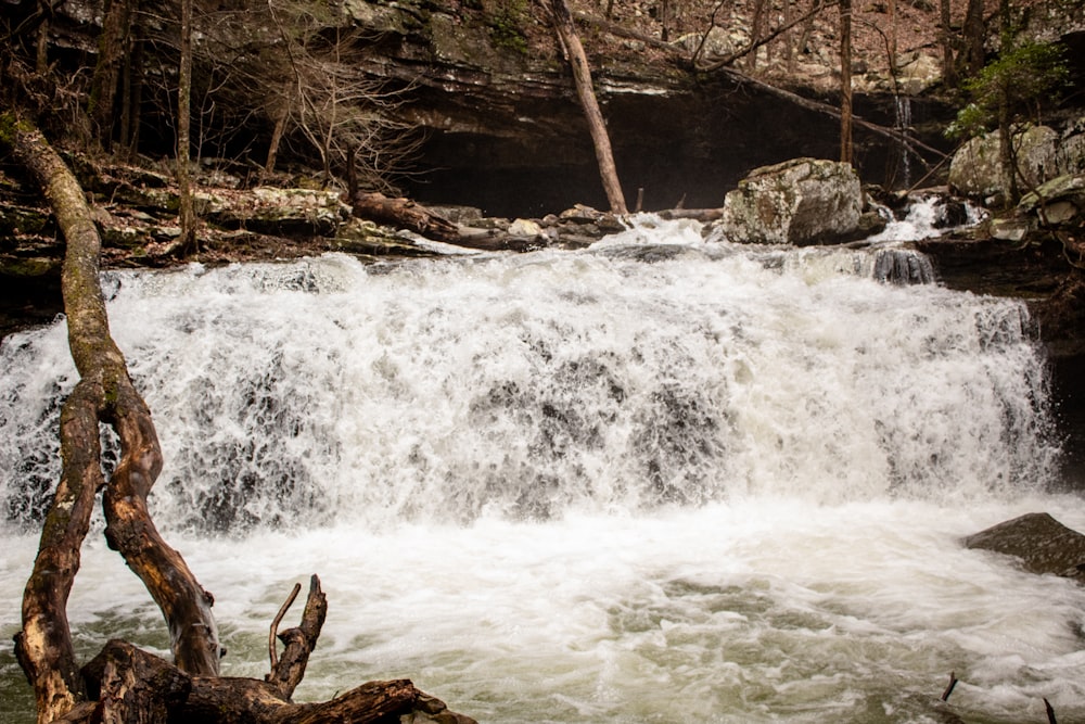 a large waterfall in the middle of a forest