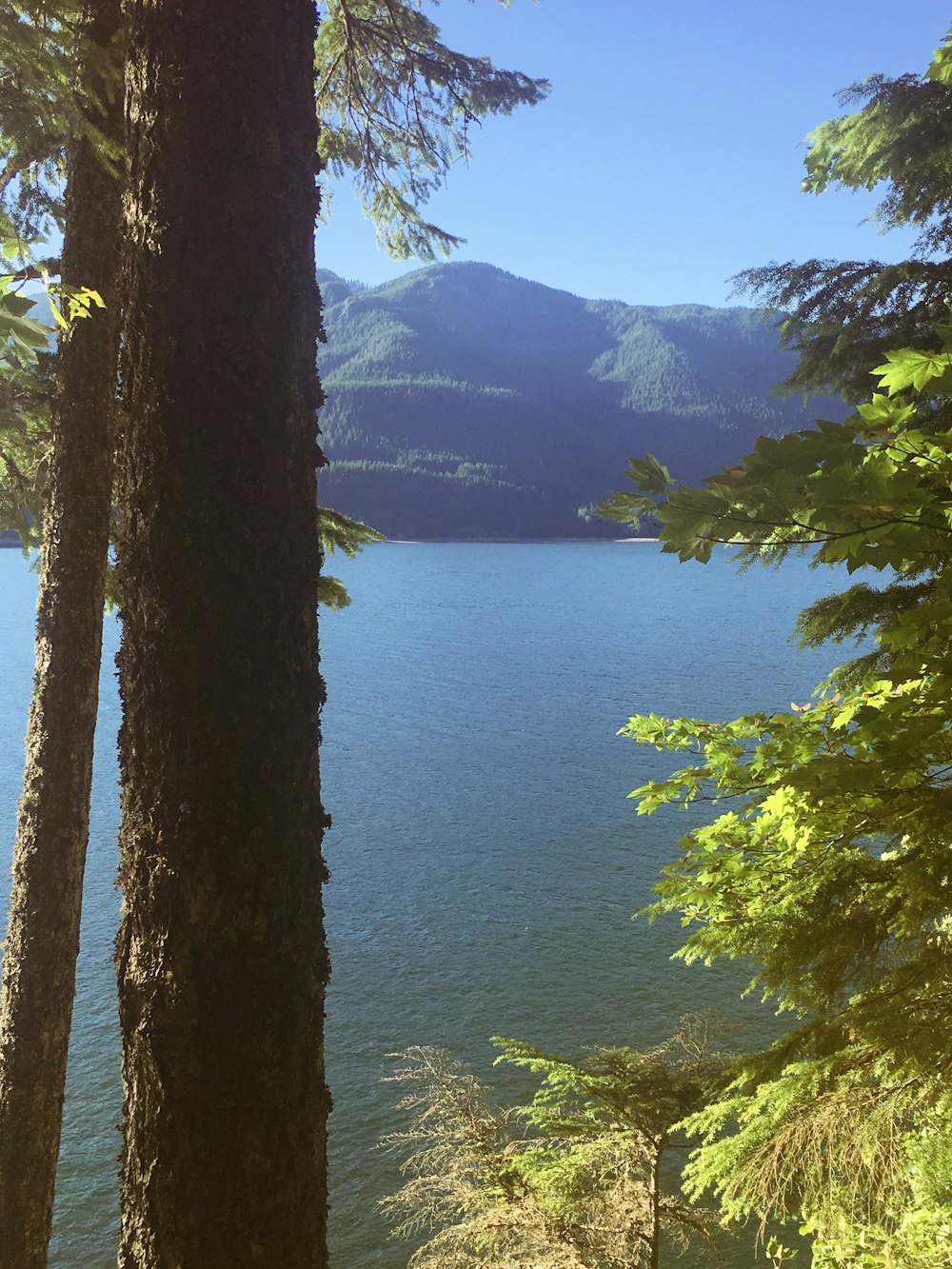 landscape photo of mountain near body of water during daytime