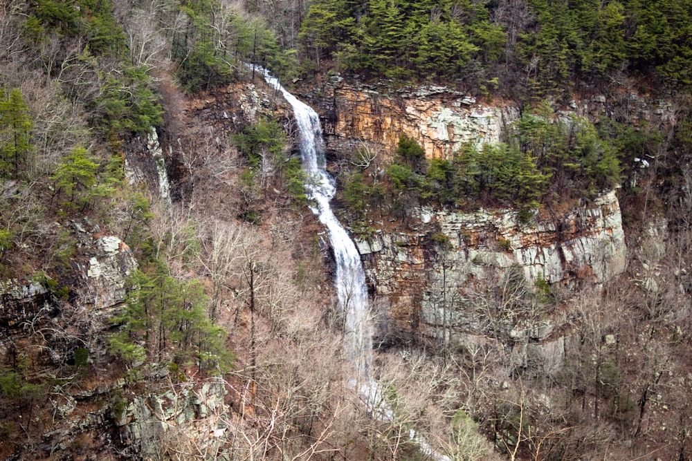 a large waterfall in the middle of a forest