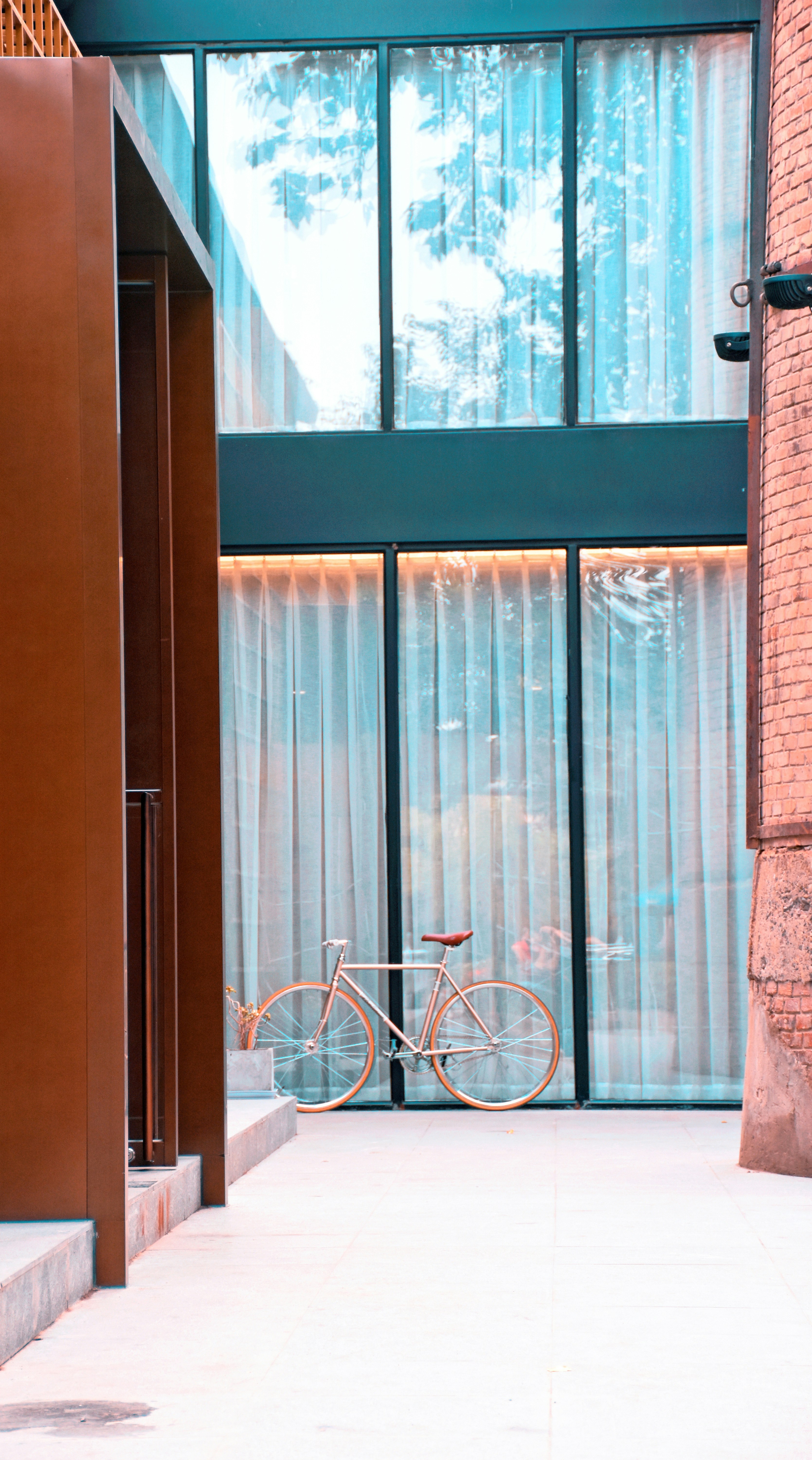 blue bicycle under tree during daytime photo u2013 Free 自転車 Image 