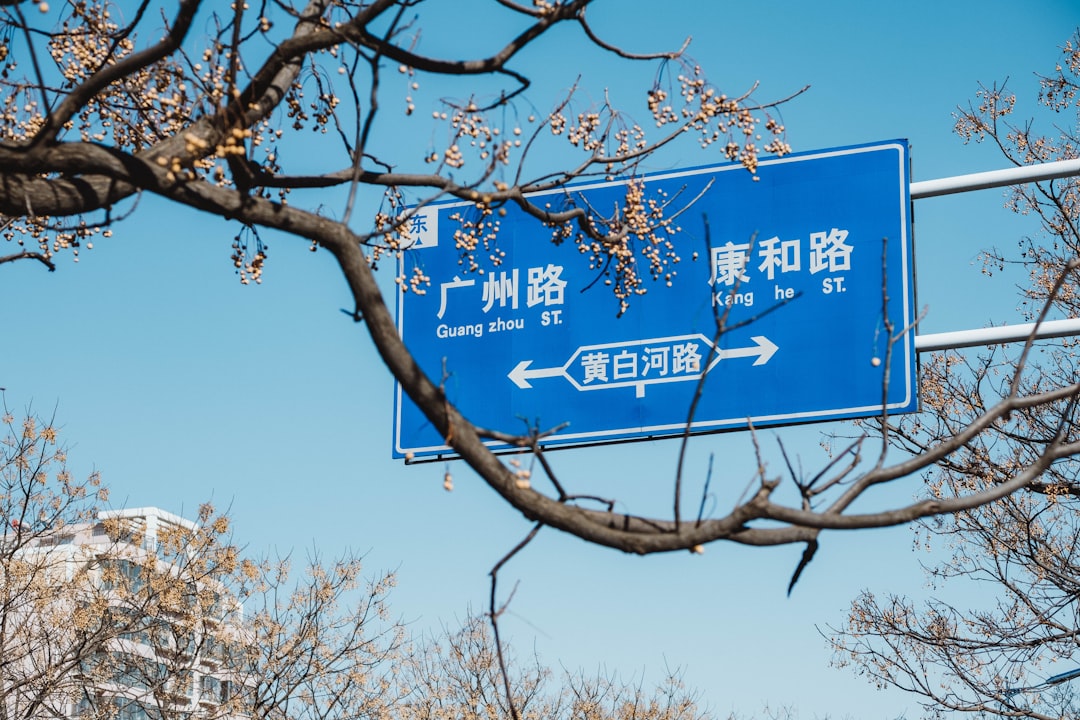 blue and white signage beside trees during daytime