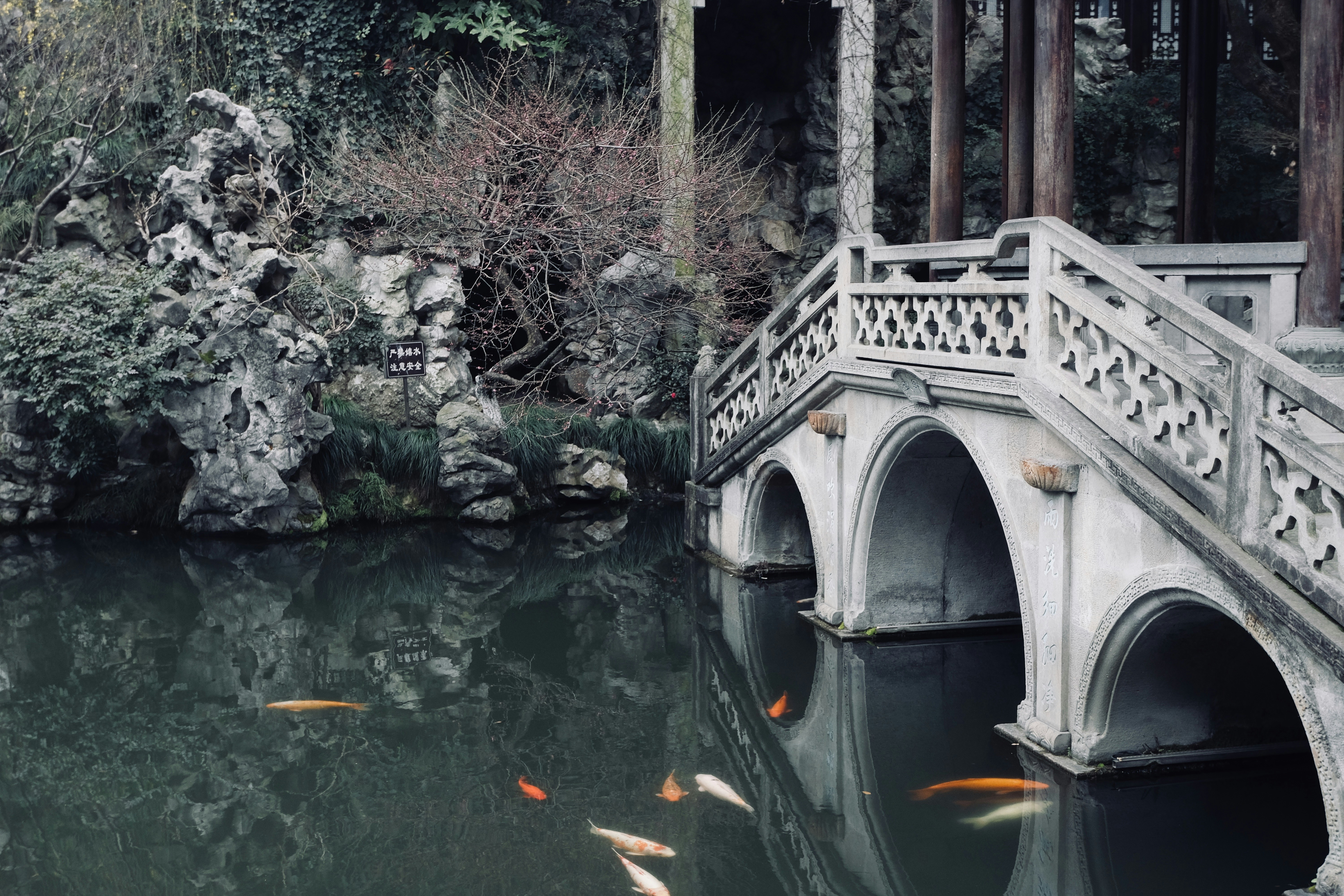 white concrete bridge