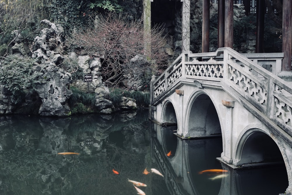 white concrete bridge