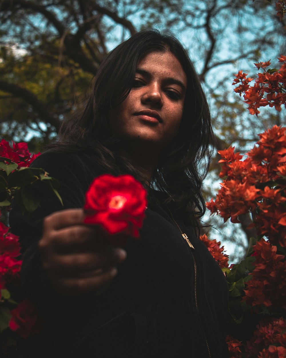 woman holding red petaled flower