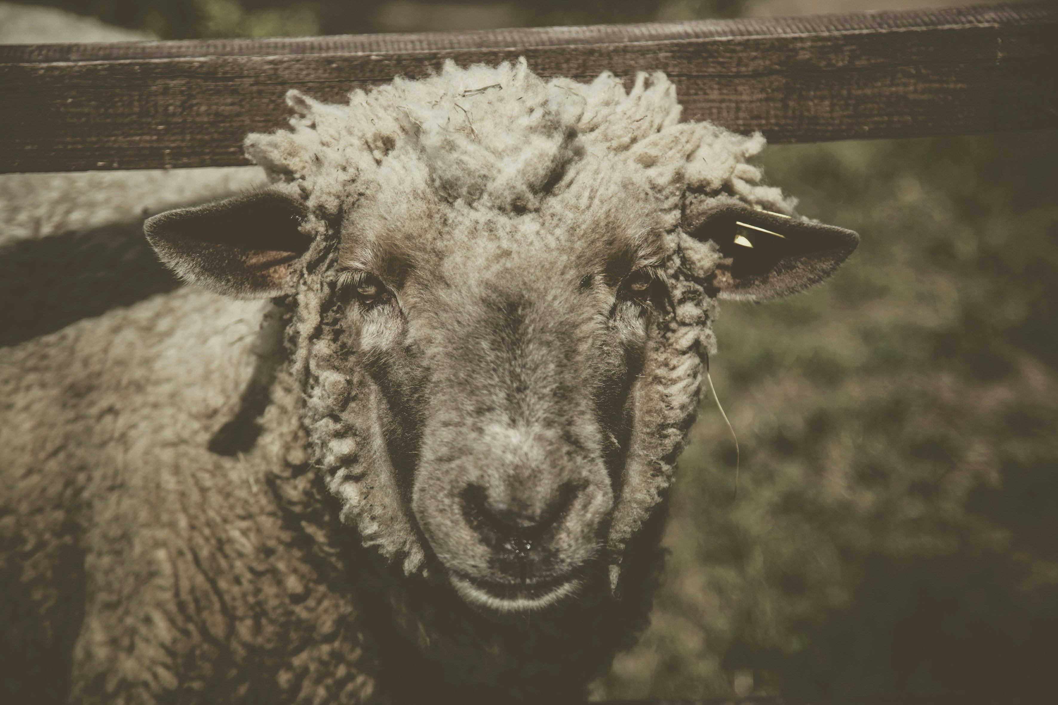 Photo by quadratmedia