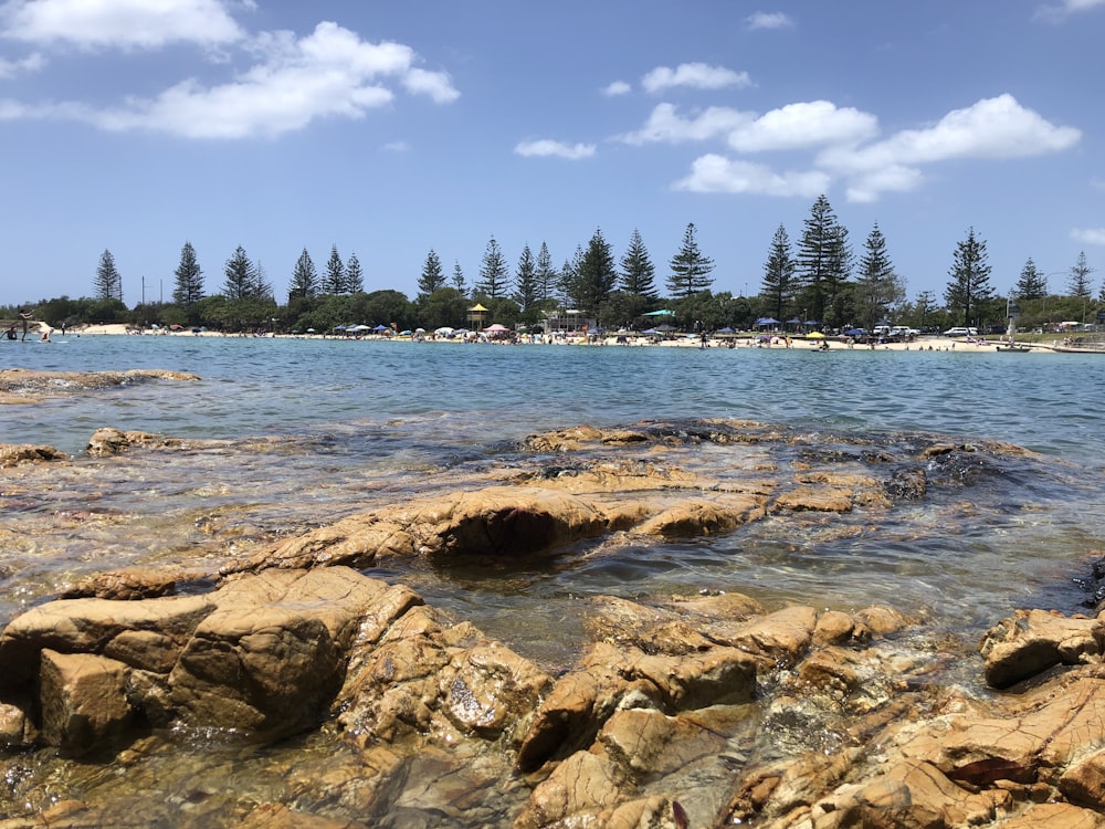 brown stones and body of water