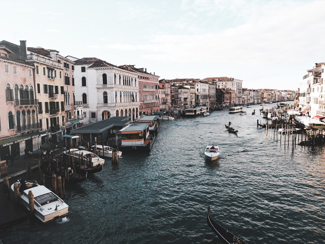 white speedboats near houses