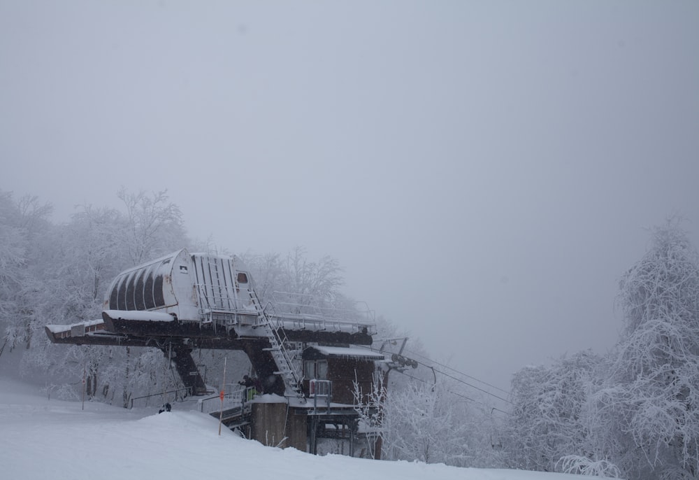 tree house near trees during winter season