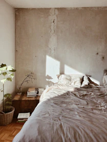 leaf plant near bed