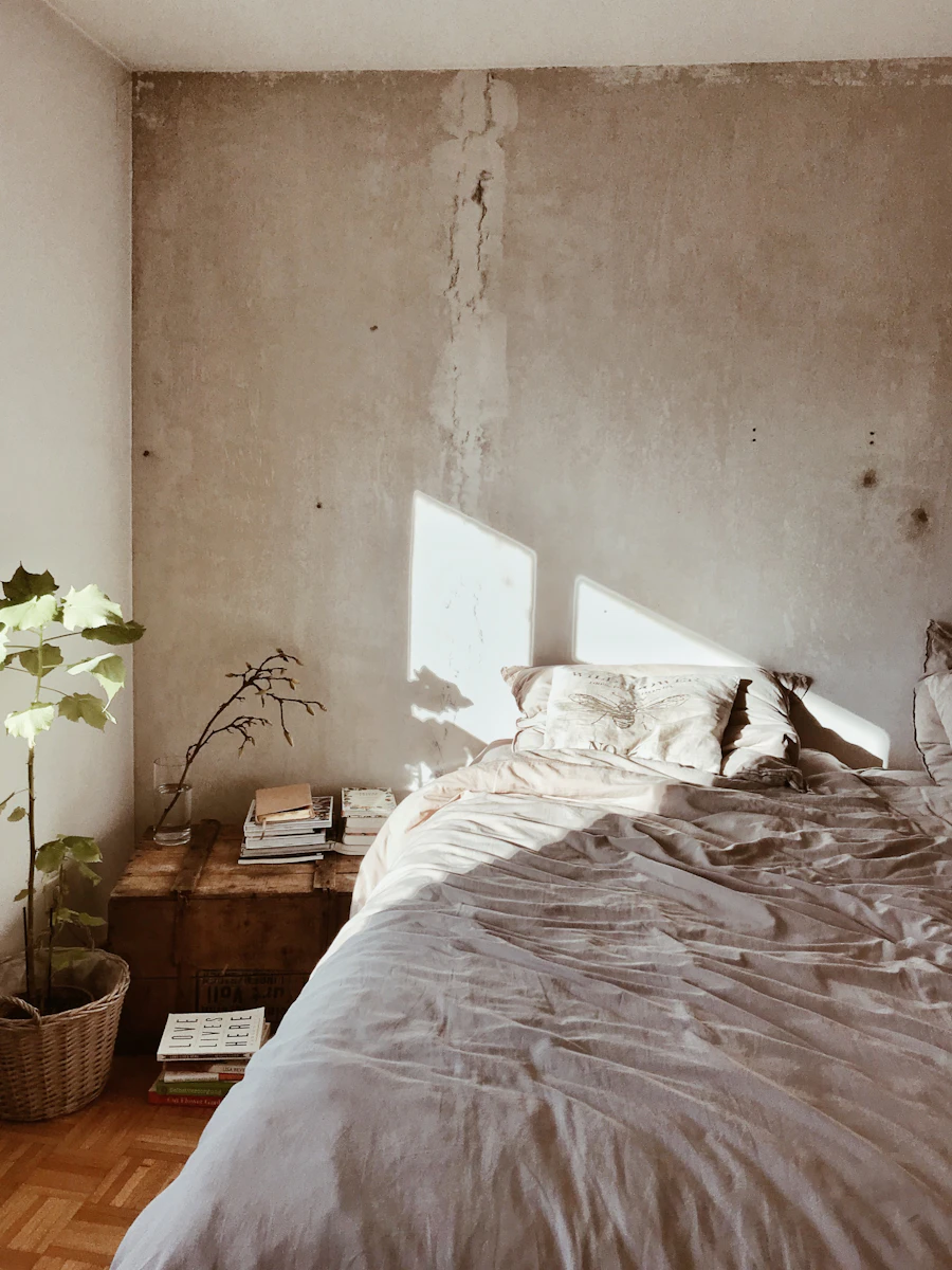 Leafy green plant beside a calm, restful corner