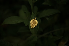 A gold pendant with a face design lies on a dark green leaf, surrounded by blurred foliage.