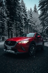 red vehicle near pine trees during daytime