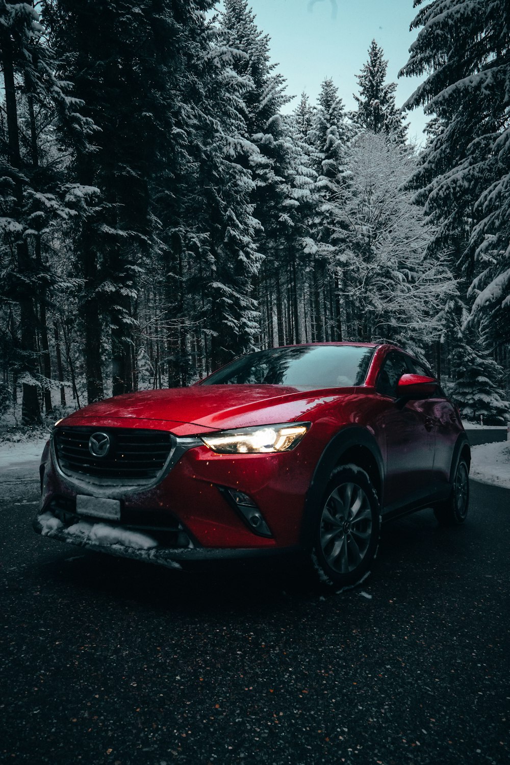 red vehicle near pine trees during daytime