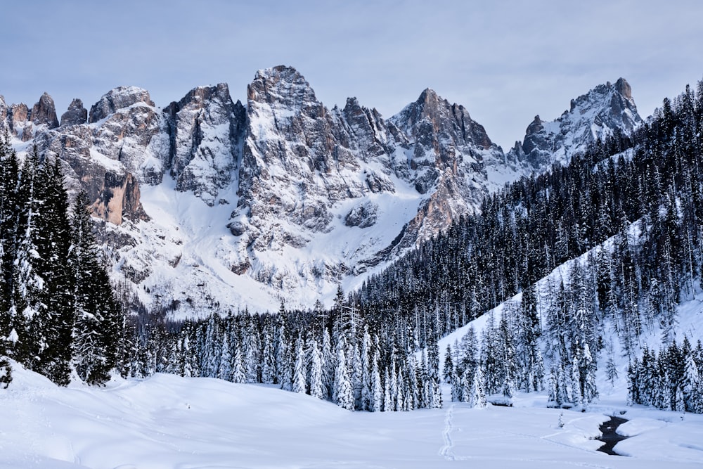 snow-capped mountain