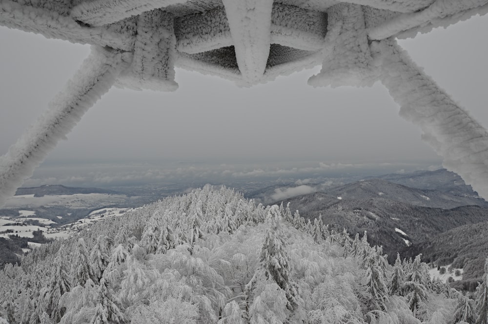 aerial photography of snow covered trees under white sky