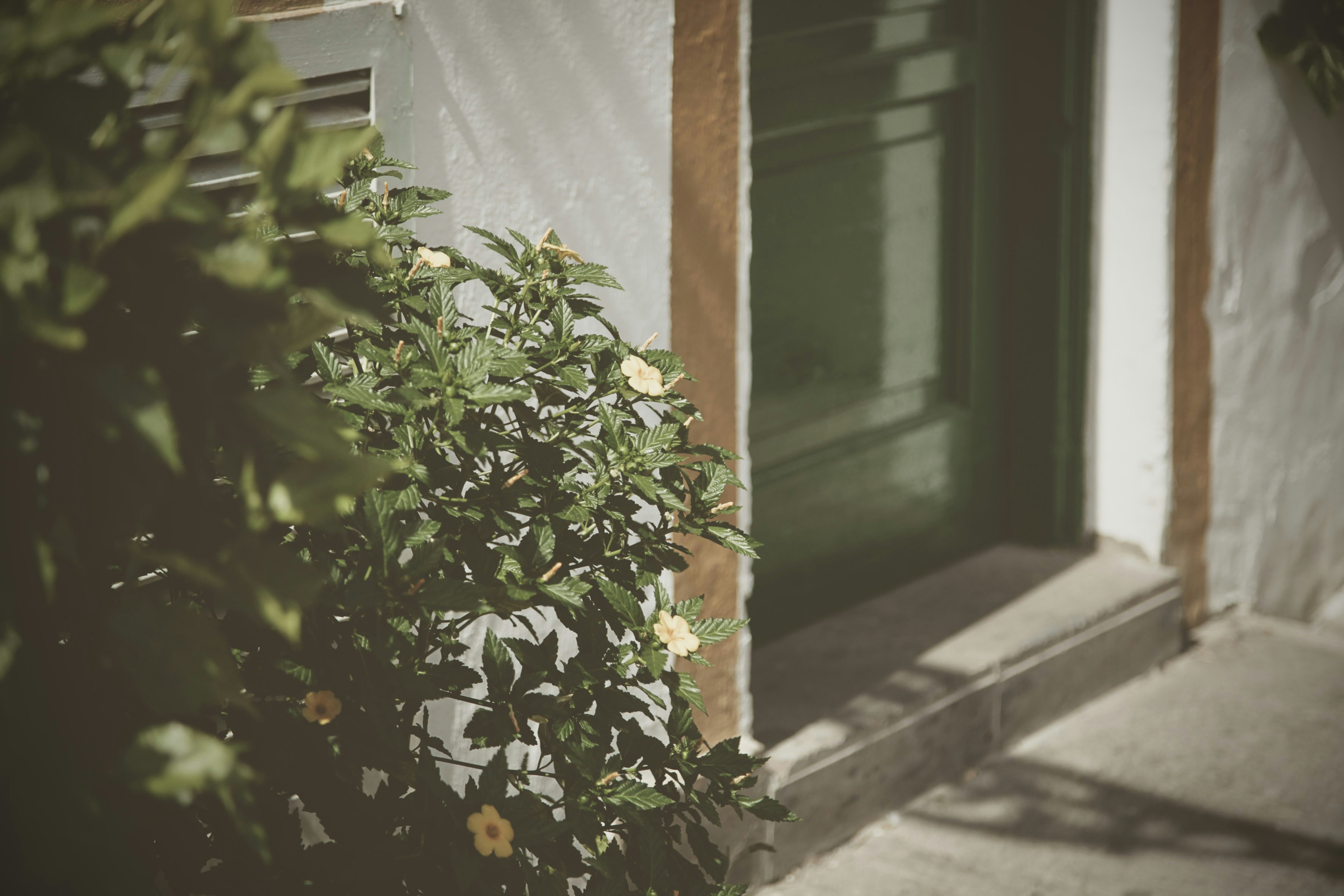 Photo by quadratmedia