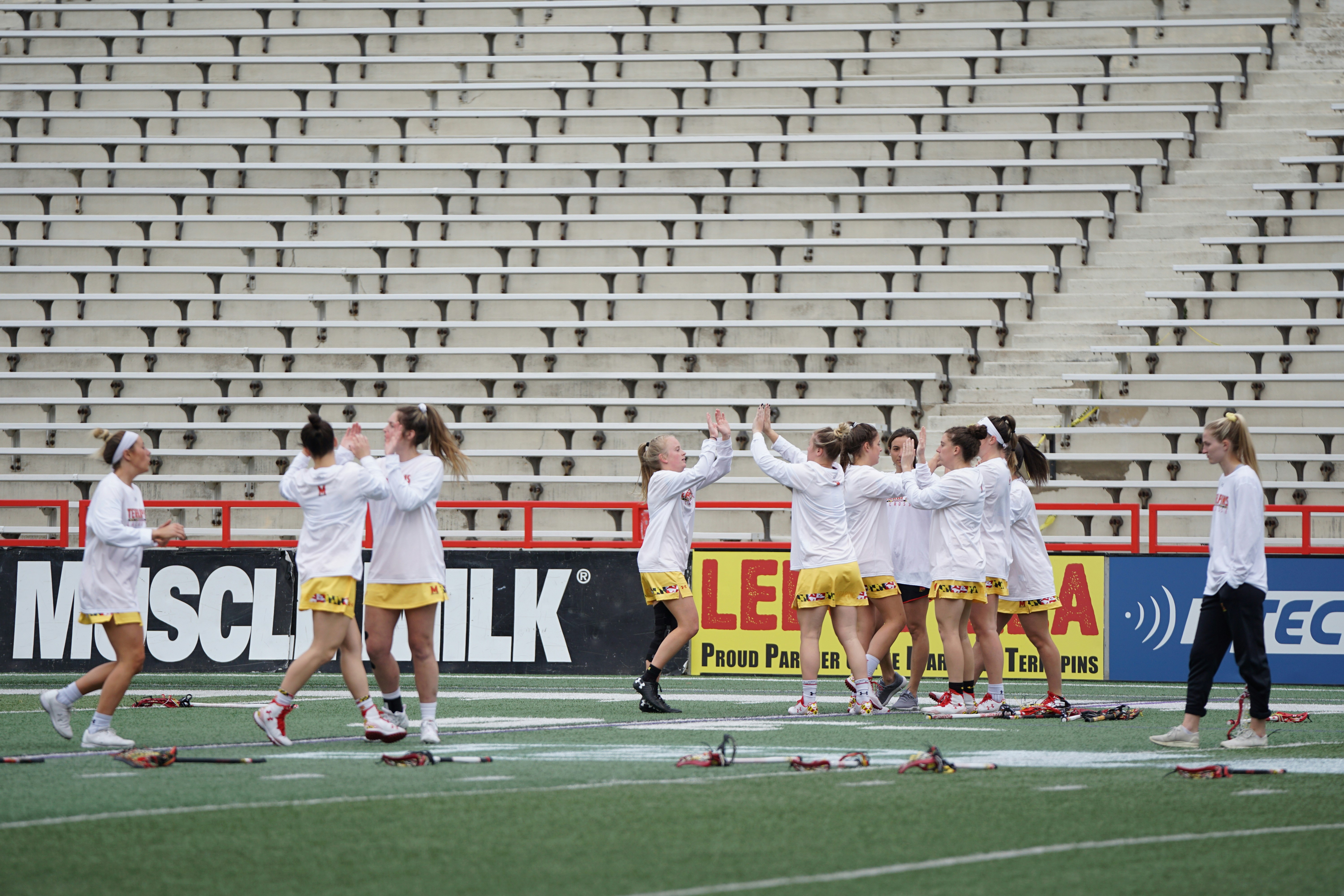 体育场景配图（资料示意）