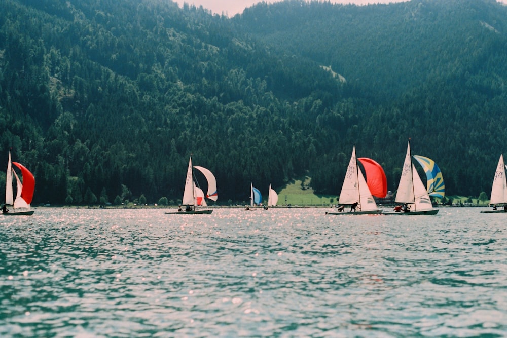 sailboats near mountain during daytime