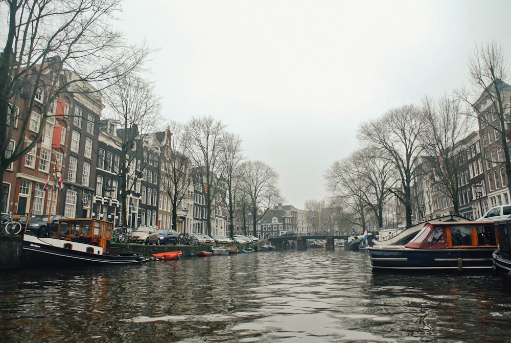 boats docked on side near buildings at daytime