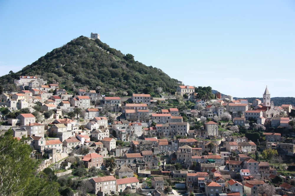 aerial photography of houses on hill at daytime