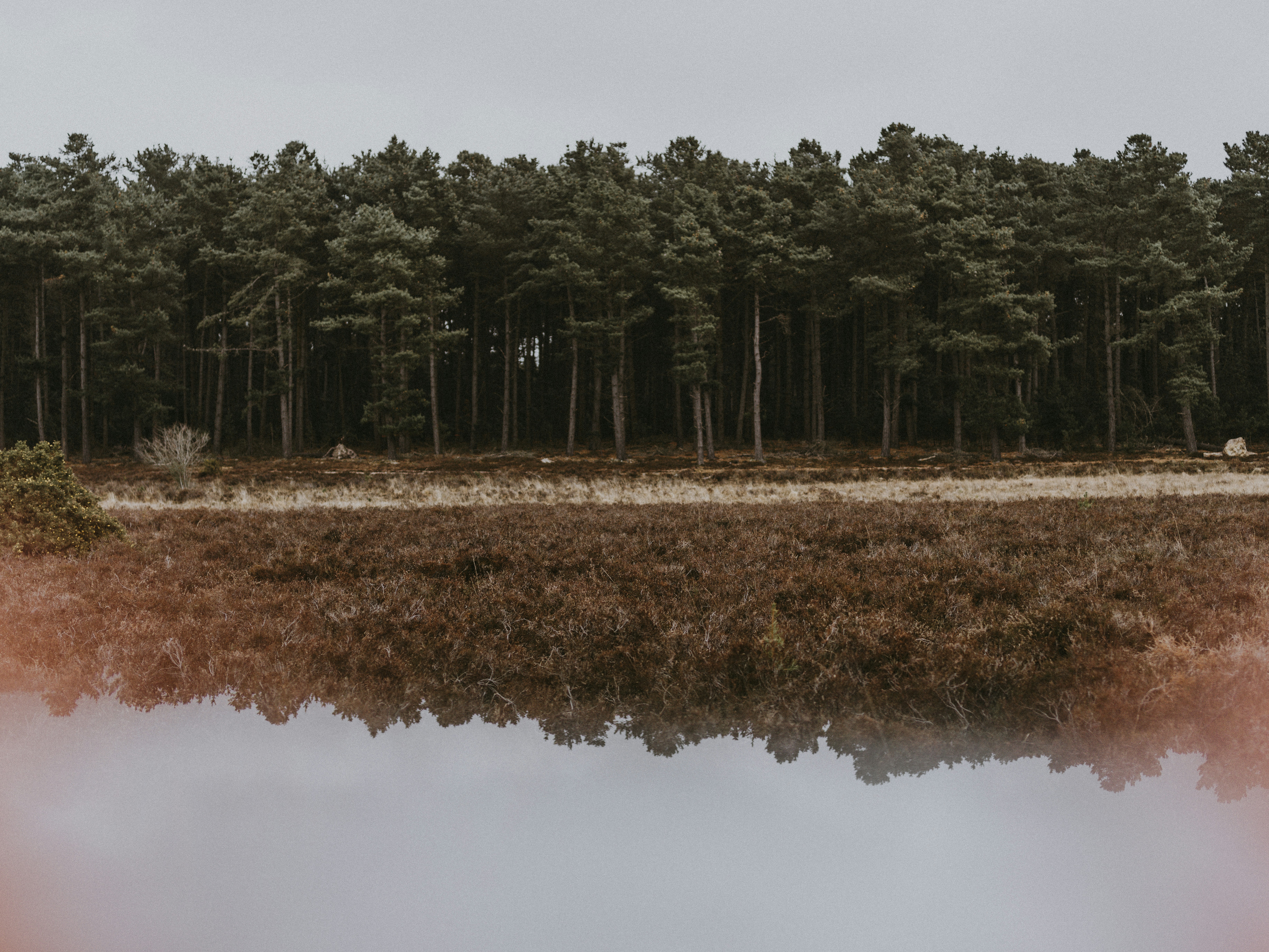 Photo by anniespratt