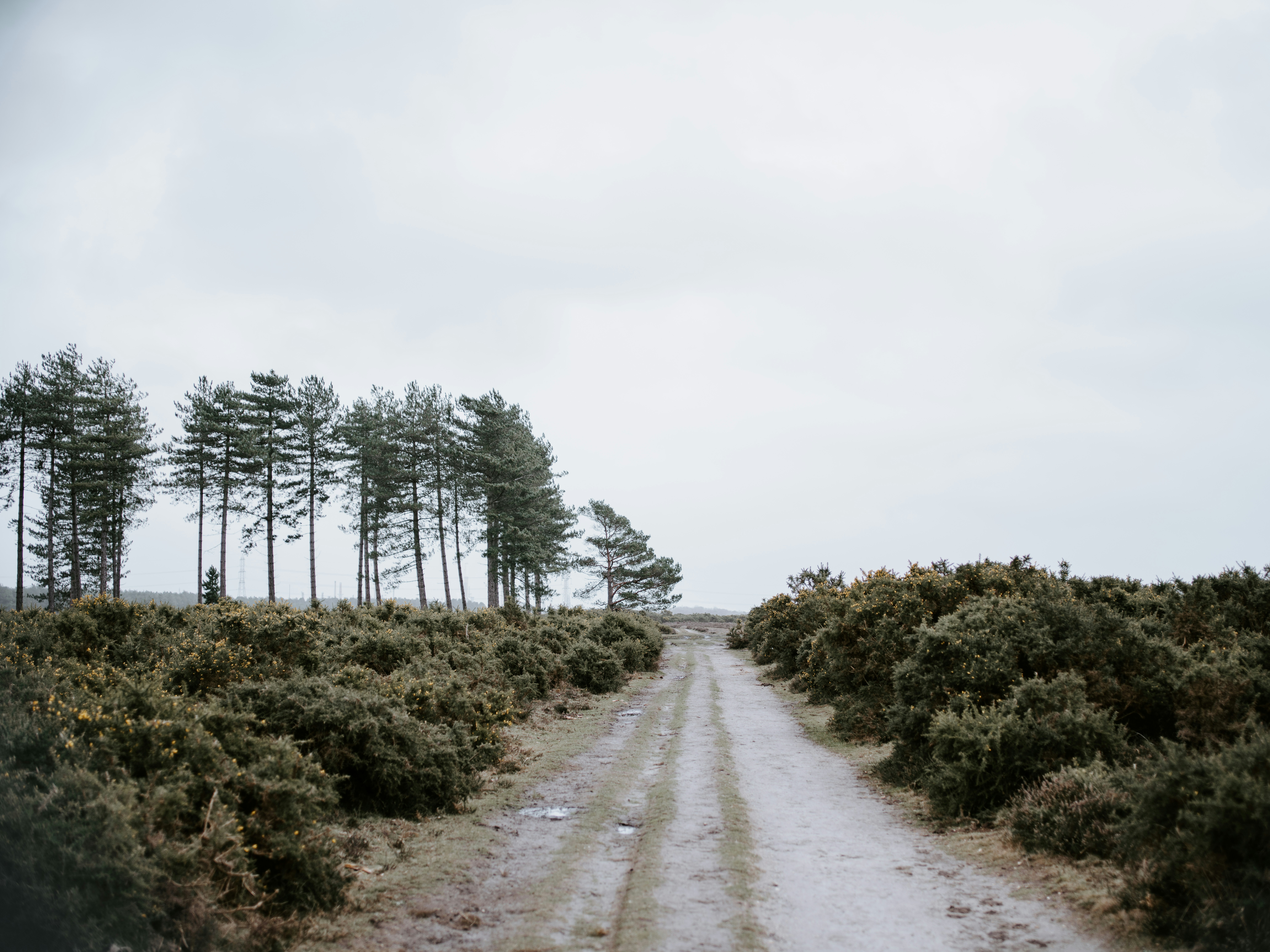 Photo by anniespratt