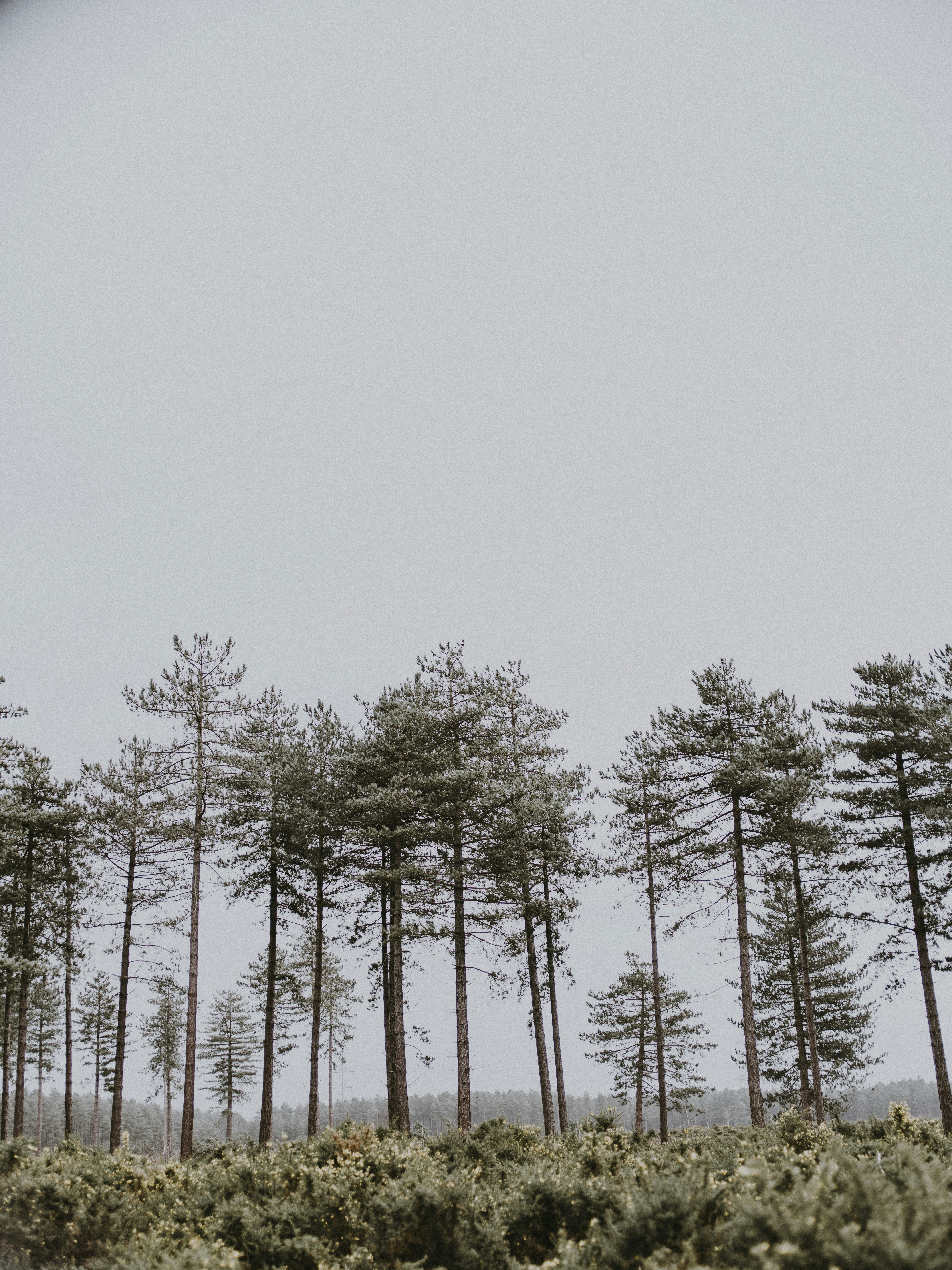 Photo by anniespratt