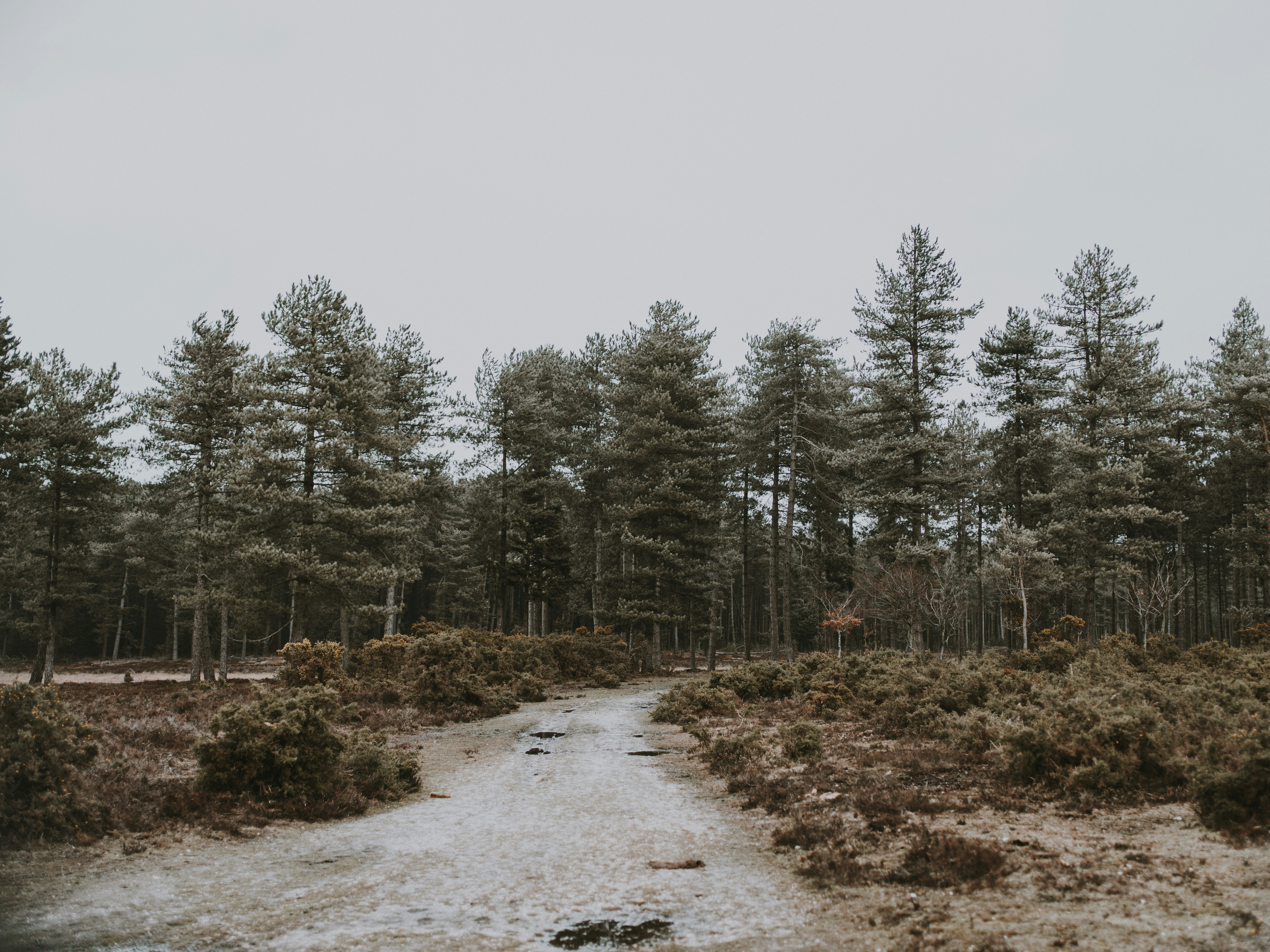 Photo by anniespratt