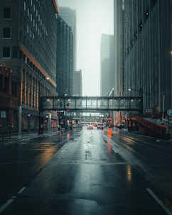 vehicles on road near buildings