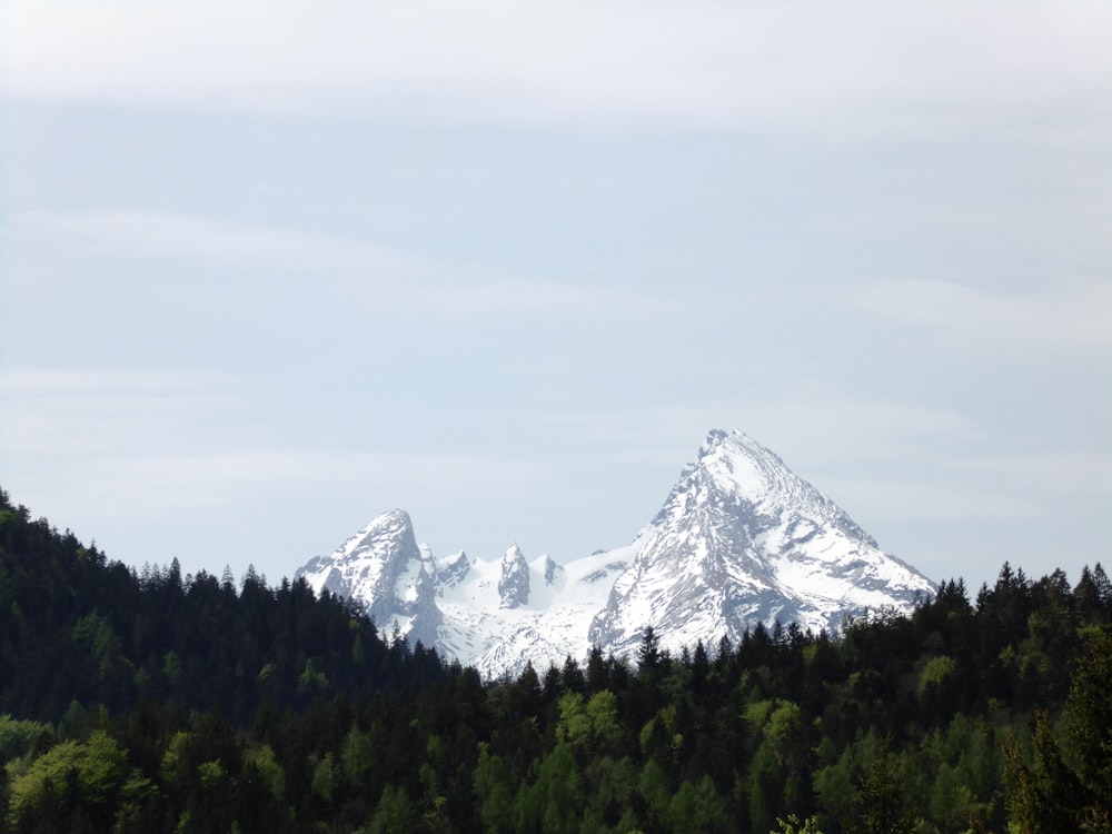 mountain covered with snow with the distance of forest