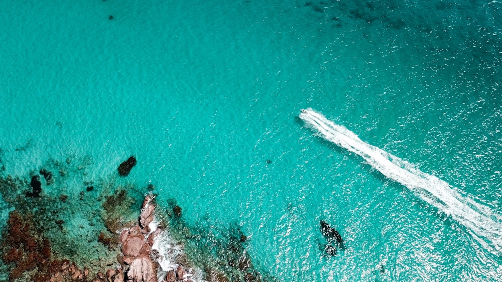 low-angle photography of body of water