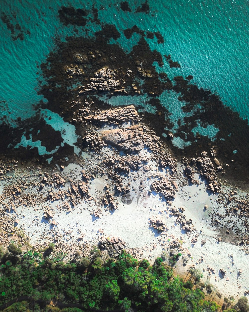 Fotografía a vista de pájaro de la orilla del mar