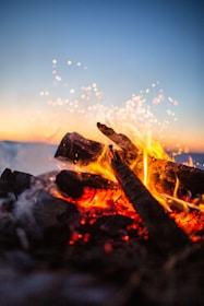 lit bonfire in closeup photography