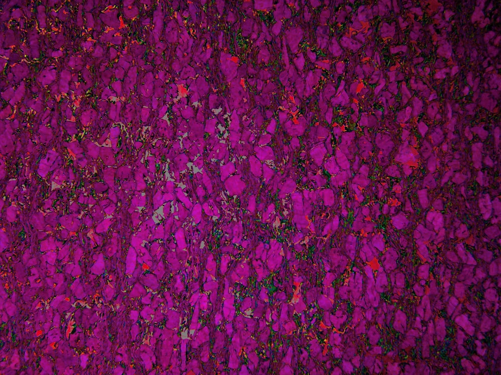purple and pink textile
