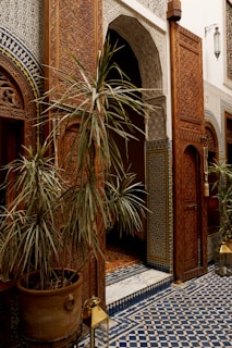 An ornate doorway framed by intricate wooden carvings and detailed mosaic tiles. The scene includes a potted plant with long, thin leaves and a traditional Moroccan lantern placed on a geometric patterned tile floor.