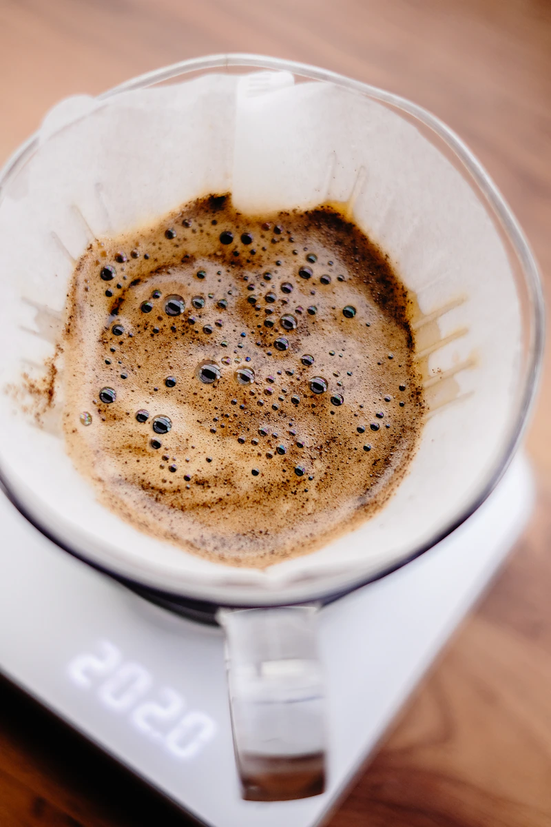 Medium-fine ground specialty coffee swelling during the bloom in a V60 filter