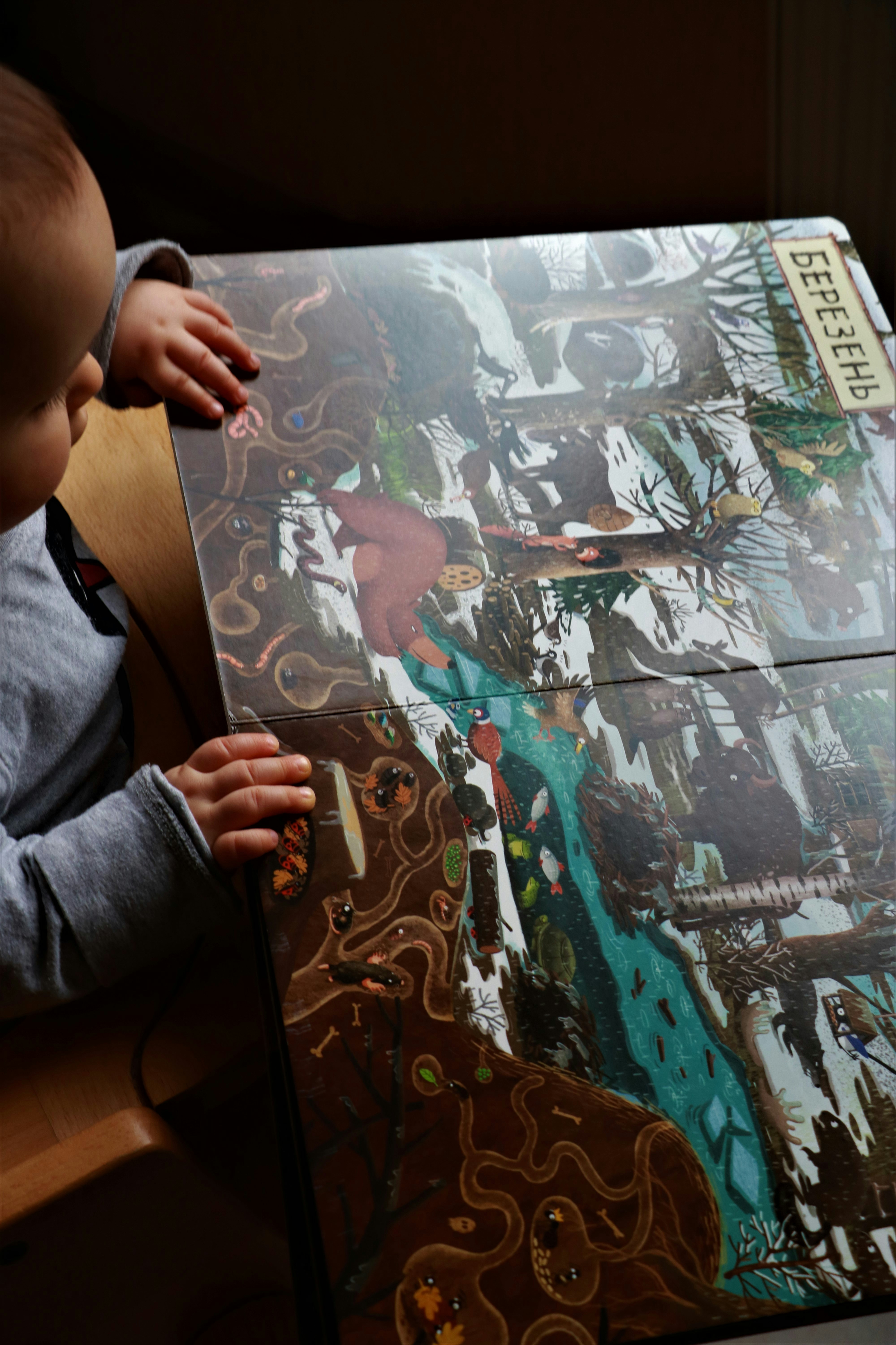 Livre personnalisé magique