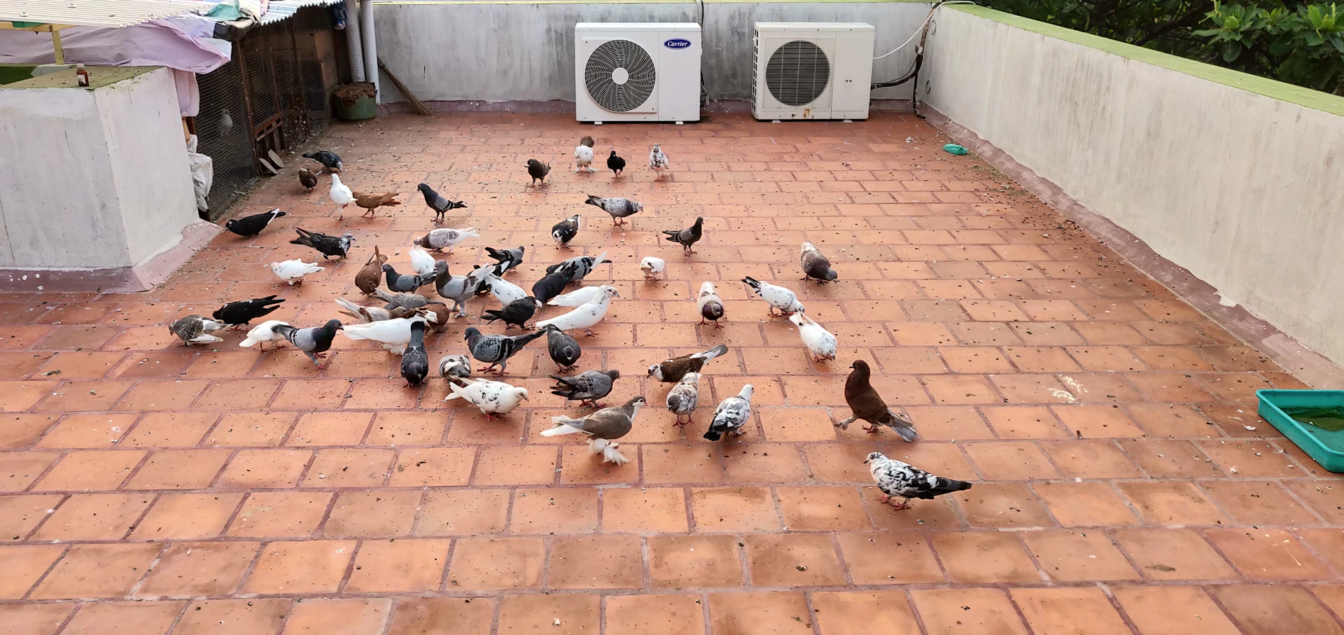 black and brown leather padded tub sofa