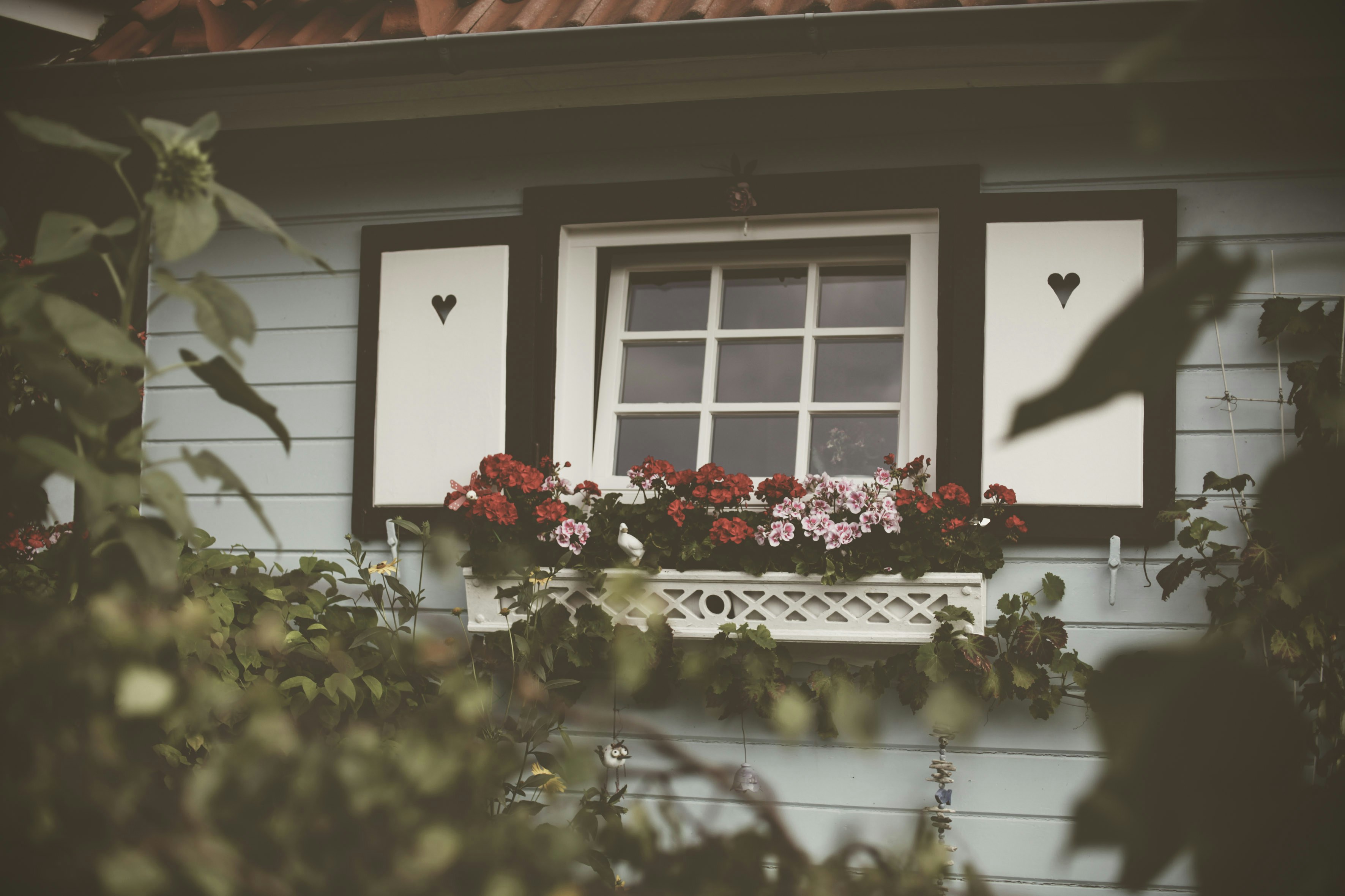 Photo by quadratmedia